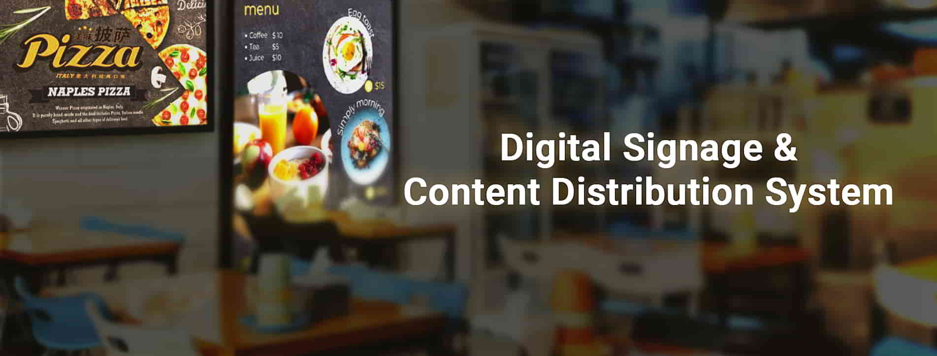 Digital Signage and Content Distribution System